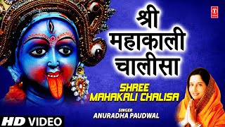 Shree Mahakali Chalisa Anuradha Paudwal Full Song  Shree Mahakali Chalisa [upl. by Ais]