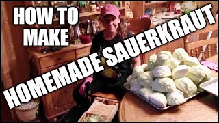 How To Make Sauerkraut By Fermenting Cabbage In Crocks [upl. by Jenica]